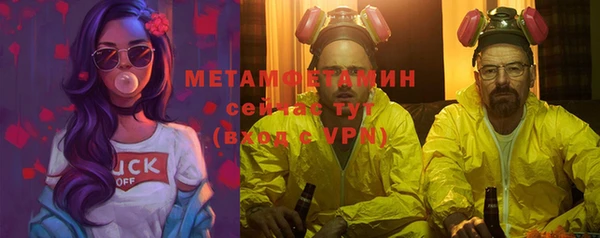 ГАЛЛЮЦИНОГЕННЫЕ ГРИБЫ Аркадак